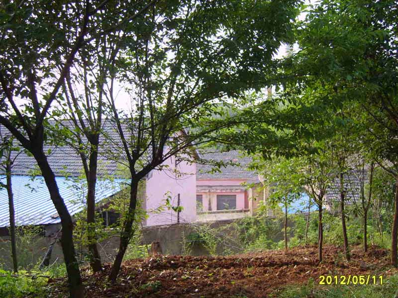 S8006330.JPG