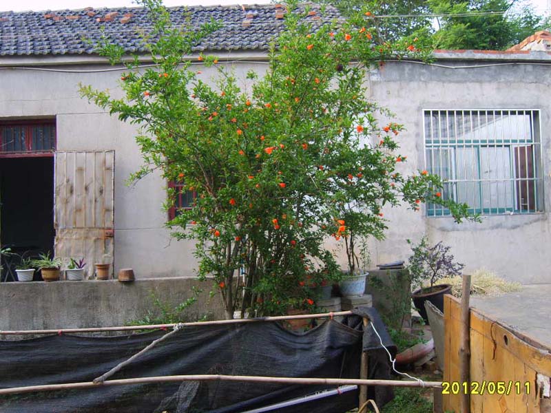 S8006341.JPG