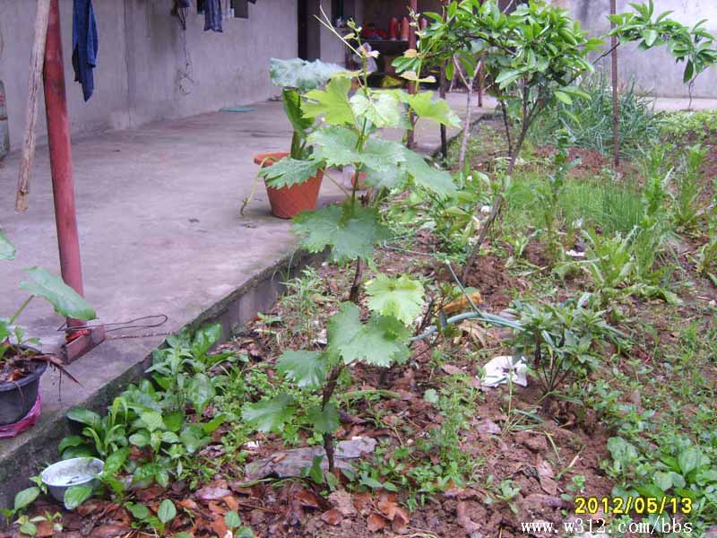 S8006360.JPG