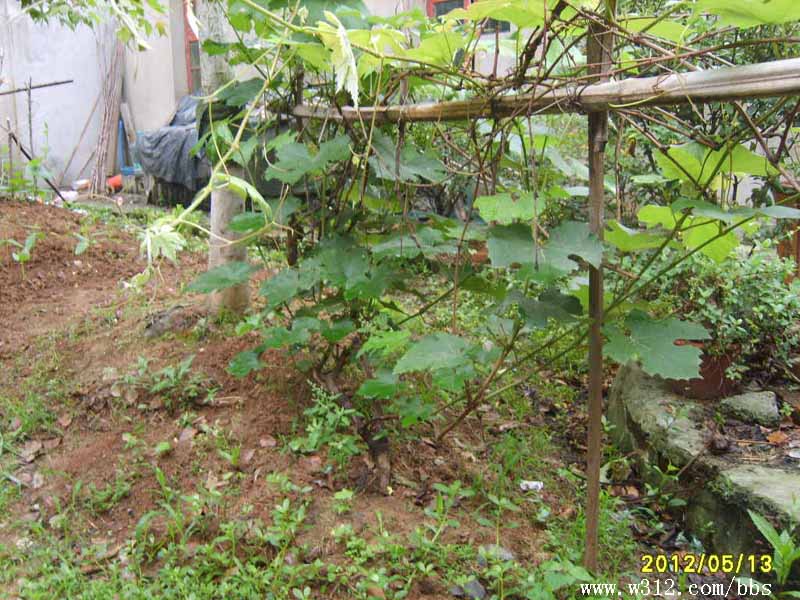 S8006361.JPG