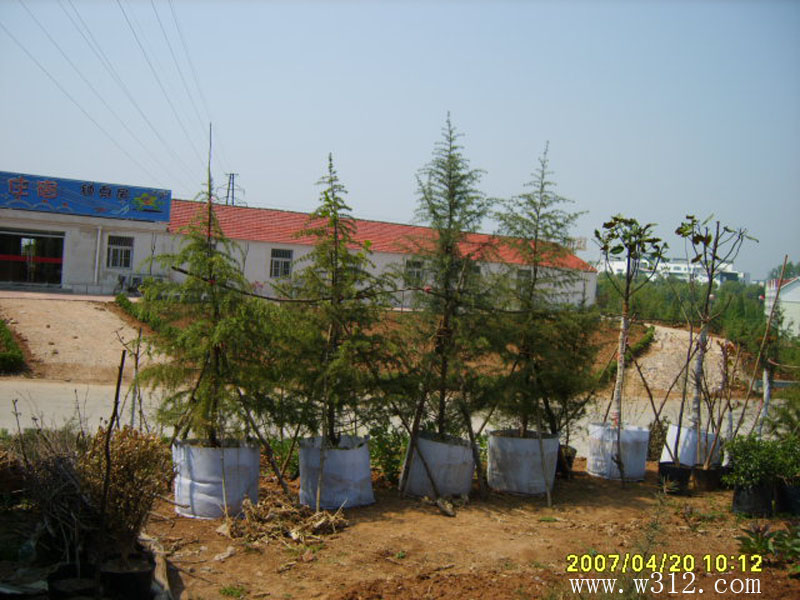 200781519334428.jpg