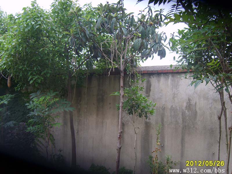 S8006420.JPG