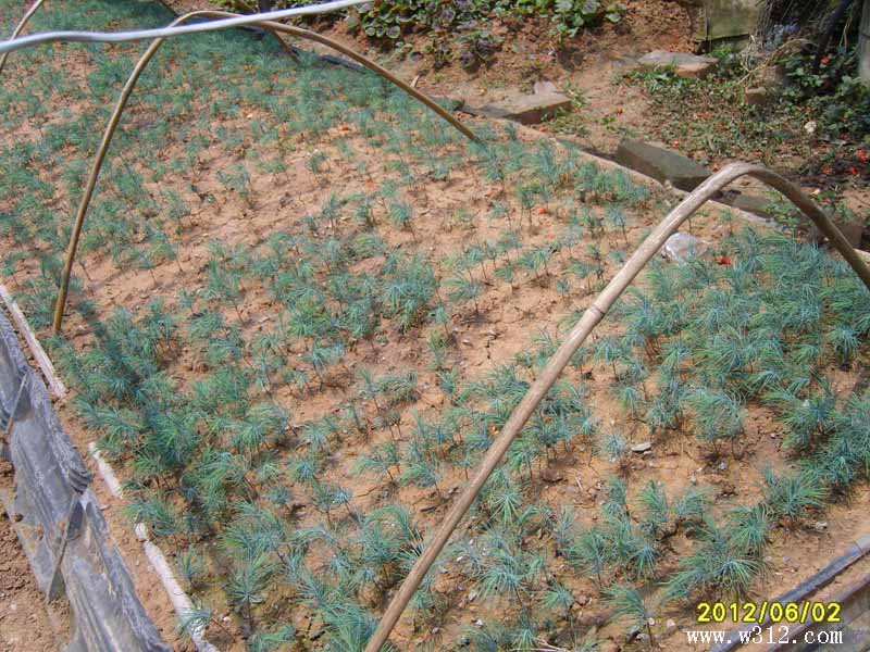 S8006482.JPG