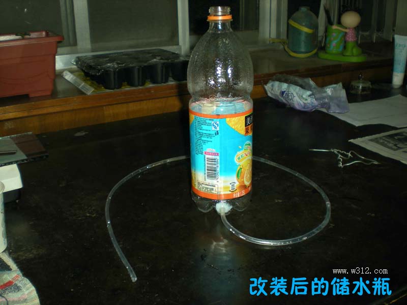 0607024.jpg