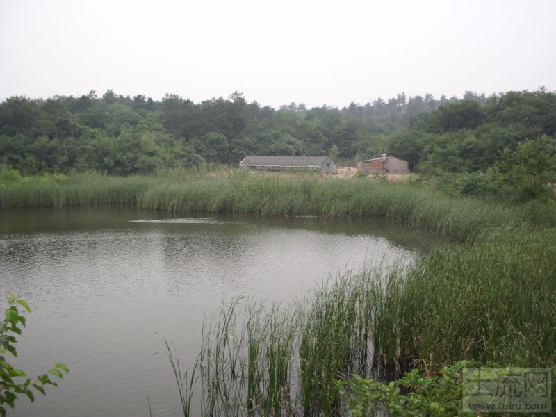 0807007.jpg