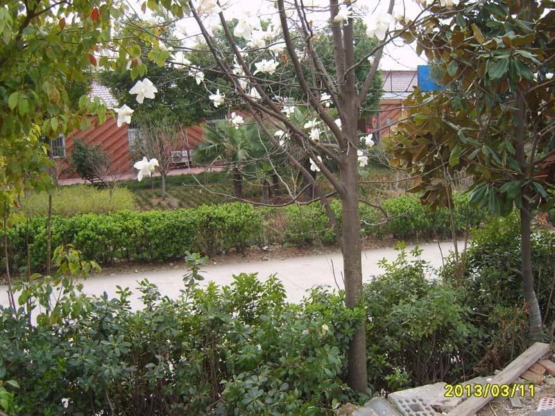 S8006629.JPG