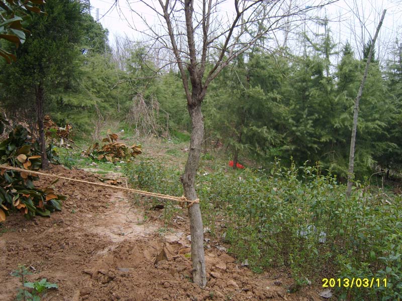 S8006623.JPG