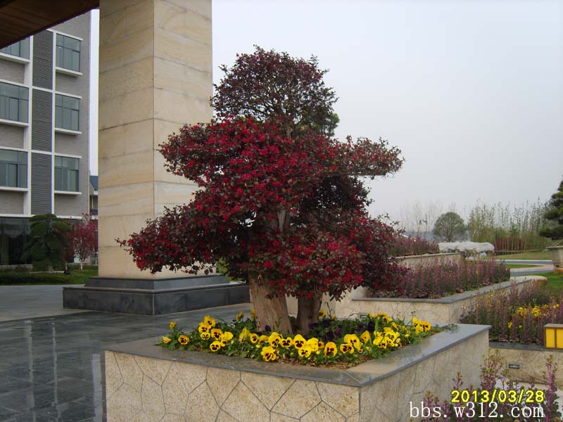 S8006659.jpg