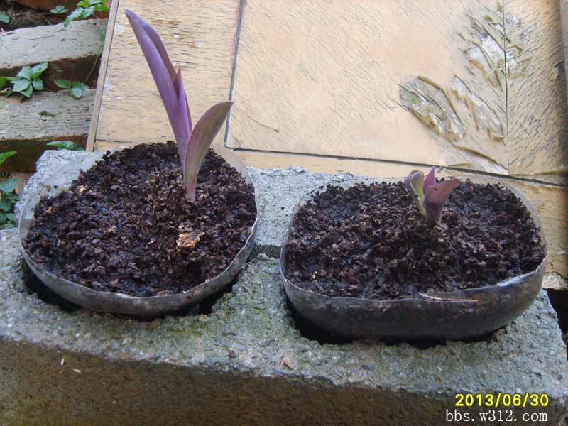 S8006730.JPG