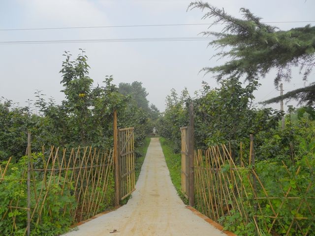 DSCN6789_jpg_dm.jpg