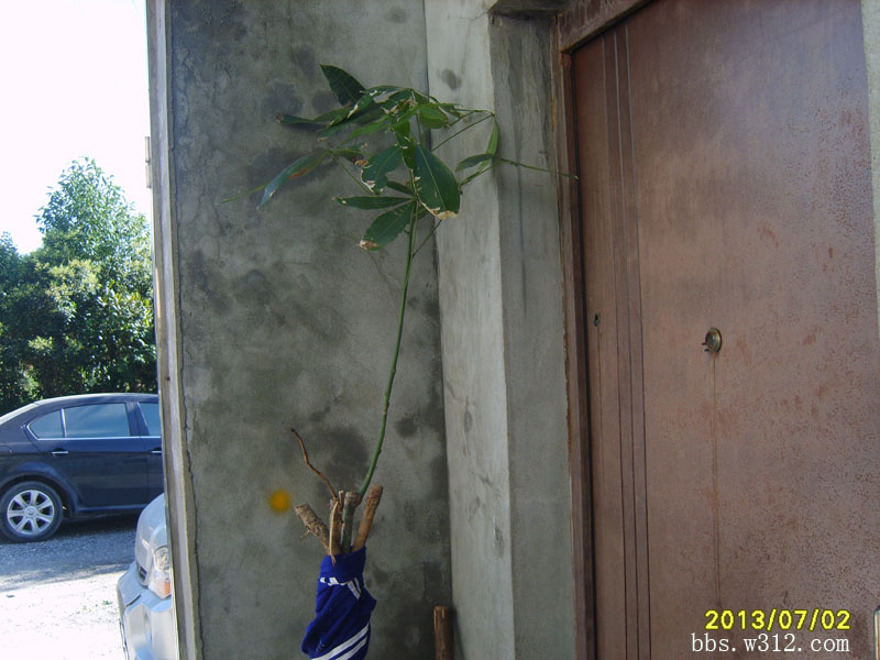 145405nq11j919p3qy17jr.jpg