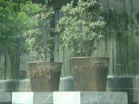 20090720_93120f5b0f0d3d402b1fhKSFIPZjMNq4.jpg