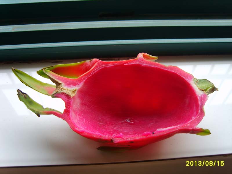 S8006751.JPG