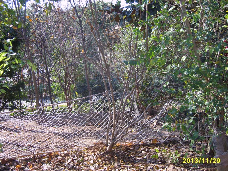 S8006876.JPG