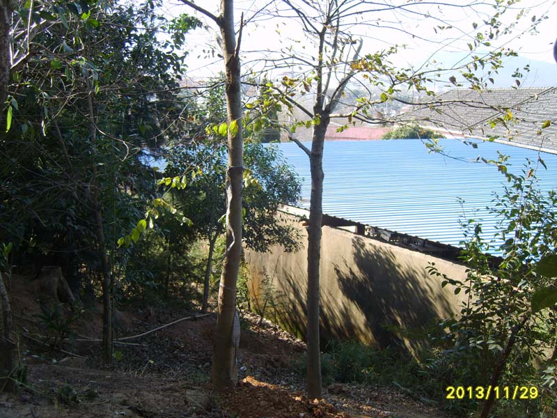 S8006847.JPG