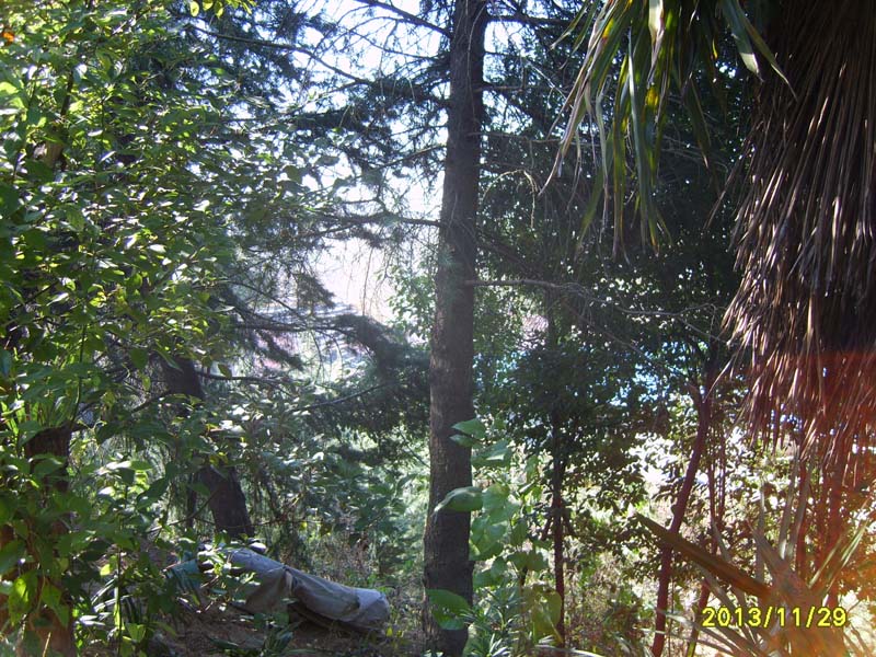 S8006858.JPG
