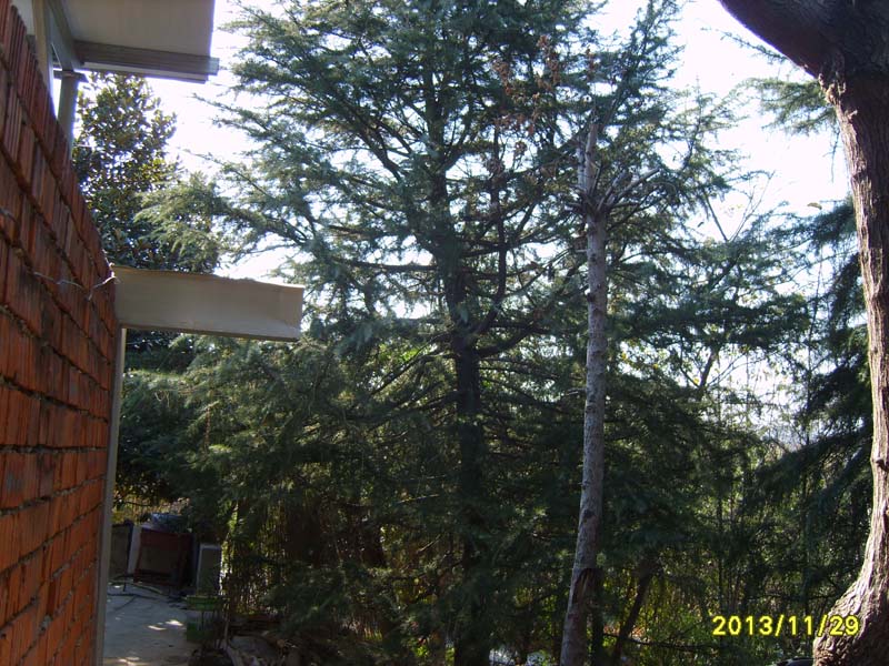 S8006859.JPG