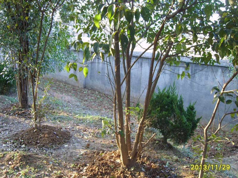 S8006900.JPG