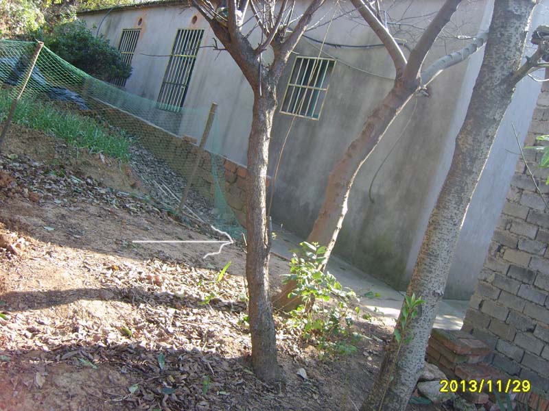 1342299nbe4eb8igc12t4z.jpg