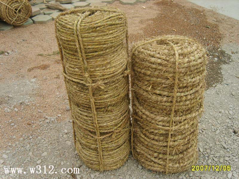 200822511816543.jpg