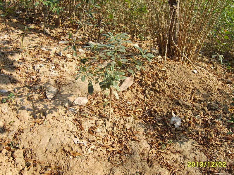 S8006957.JPG