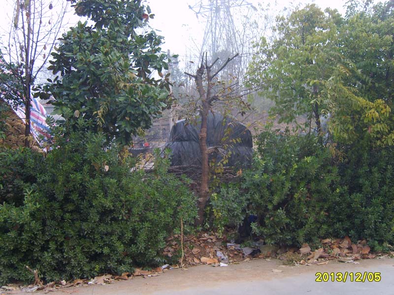 S8007002.JPG