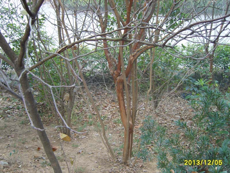S8007008.JPG