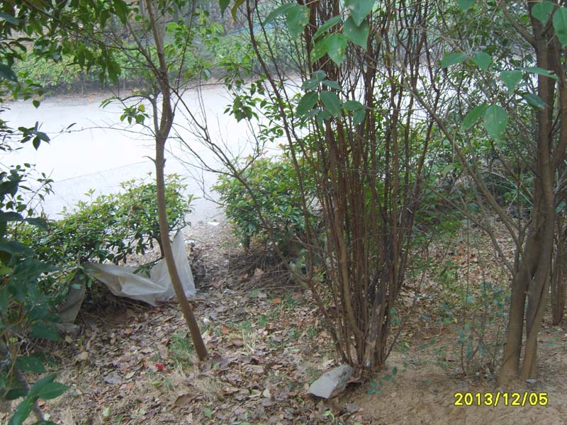 S8007009.JPG