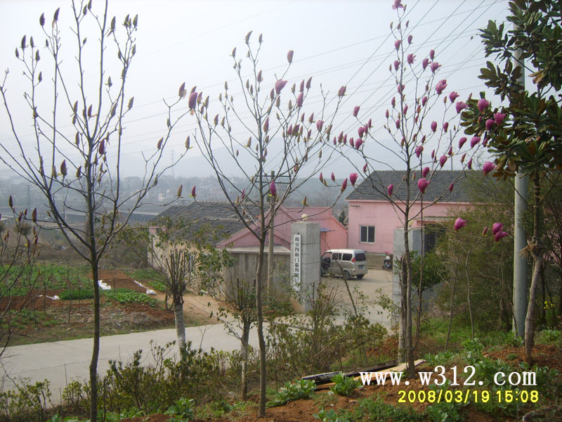 2008320102429703.jpg