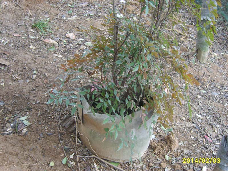 S8007245.JPG