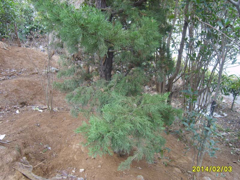 S8007246.JPG