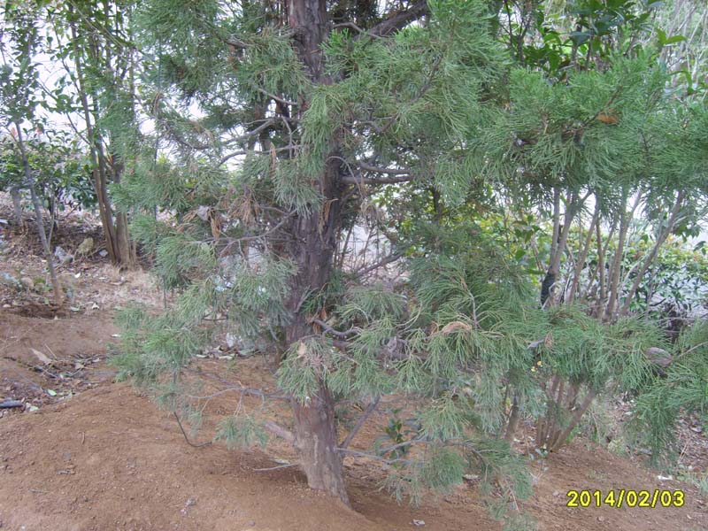 S8007247.JPG