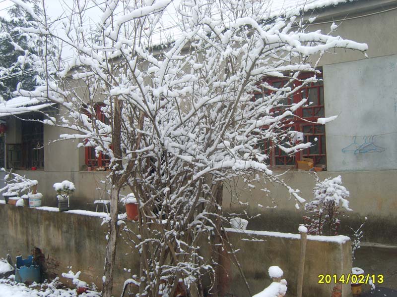 S8007301.JPG