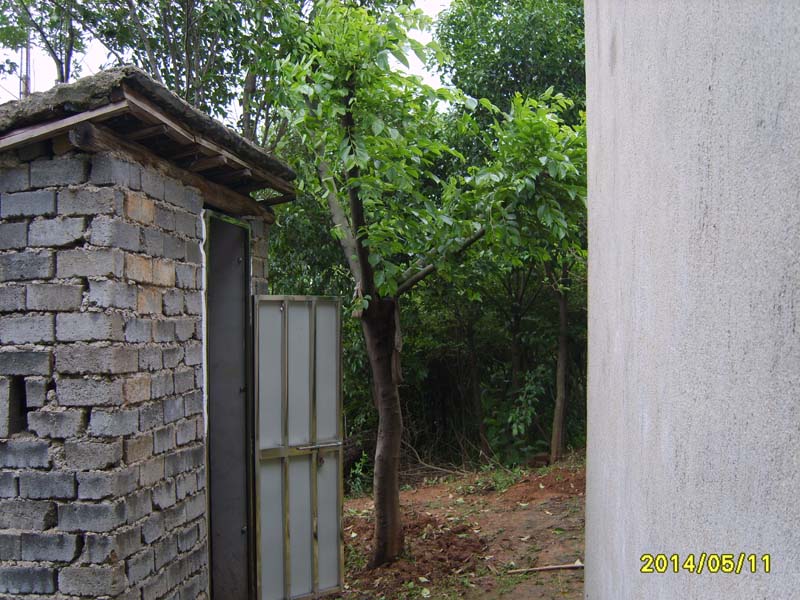 S8005865.JPG