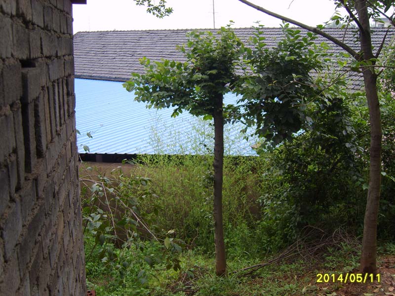 S8005867.JPG
