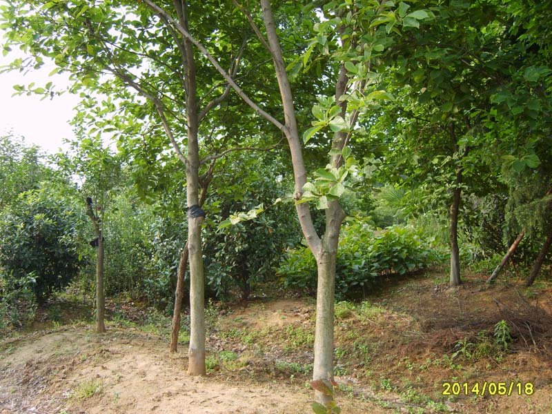 S8005898.JPG