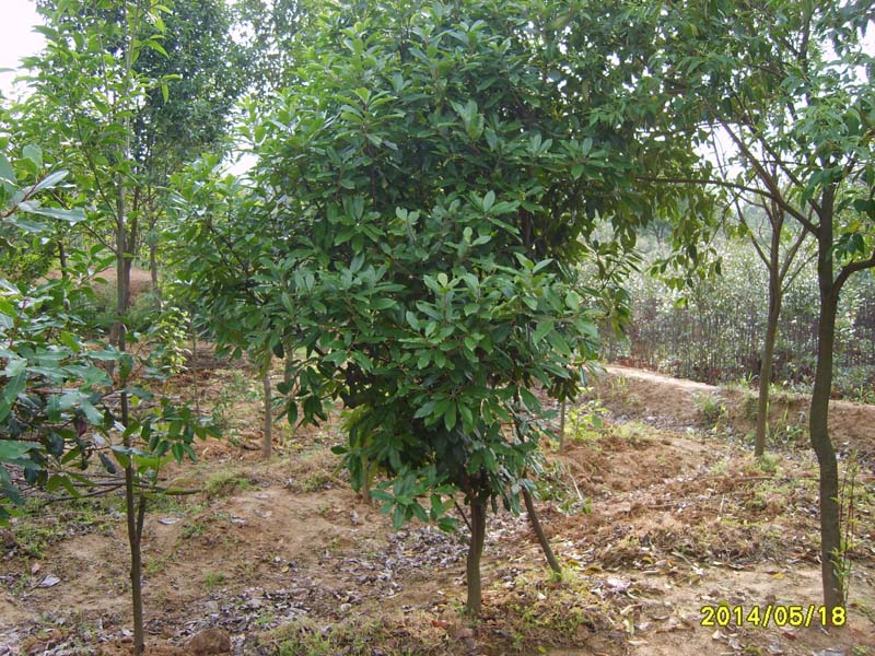 S8005902.JPG
