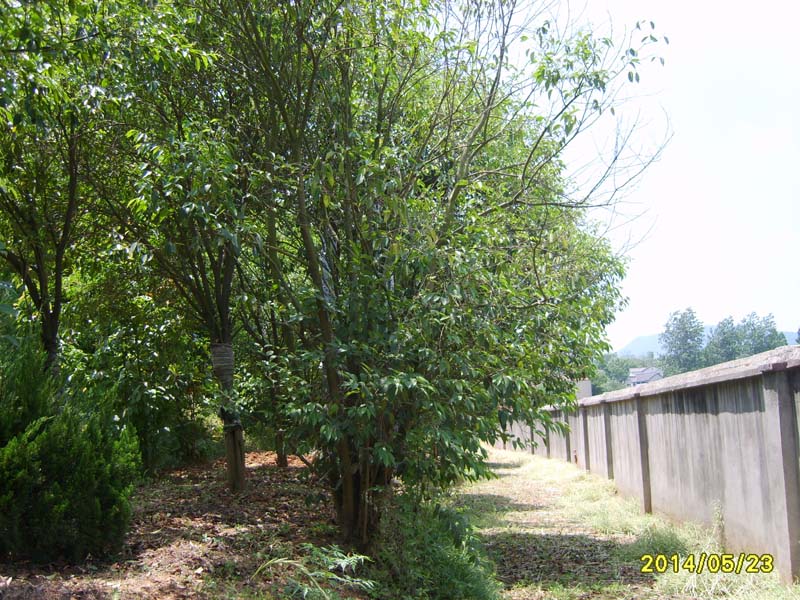 S8005917.JPG