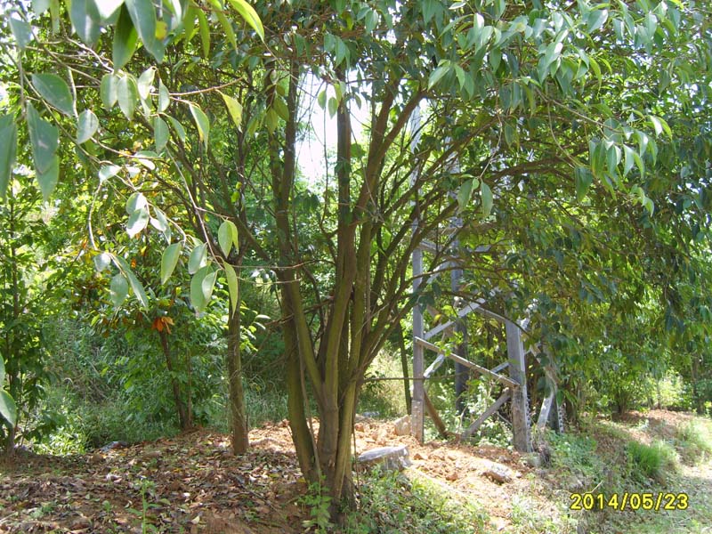 S8005918.JPG