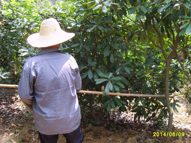 S8005963.JPG