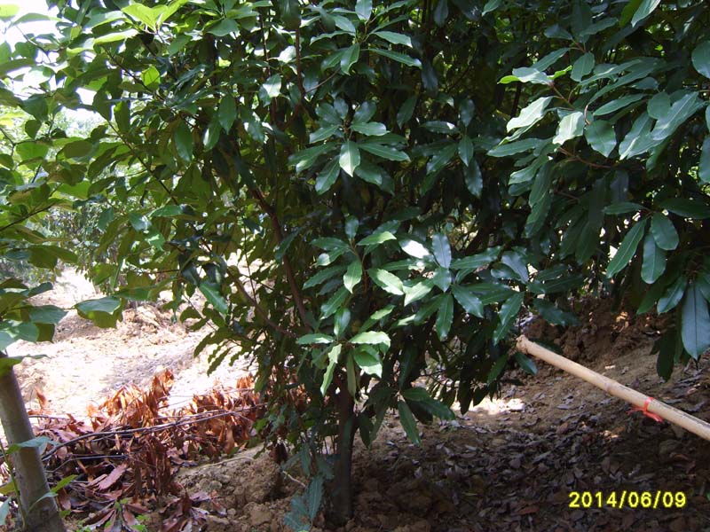 S8005969.JPG
