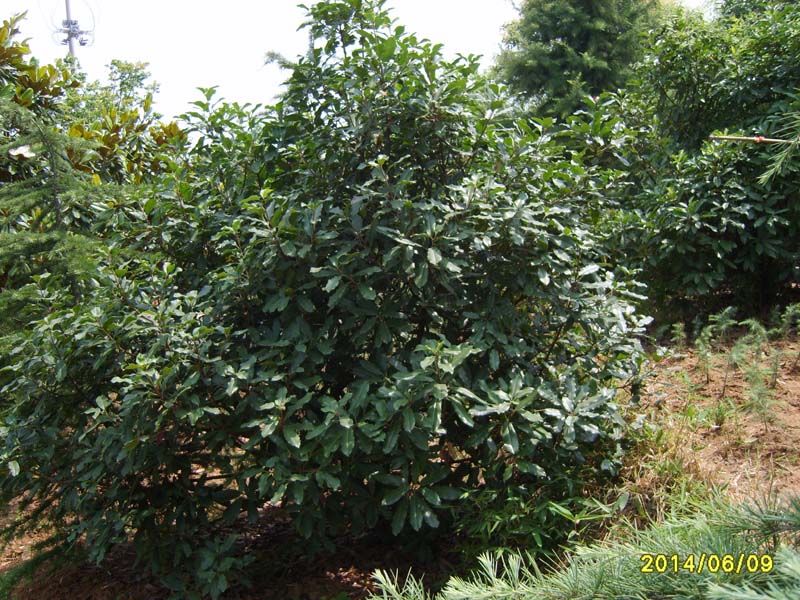 S8005978.JPG