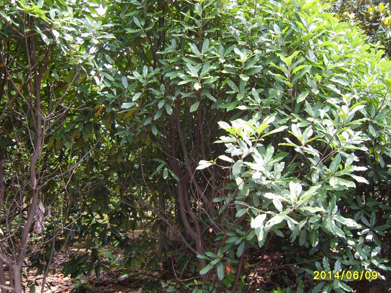 S8005986.JPG