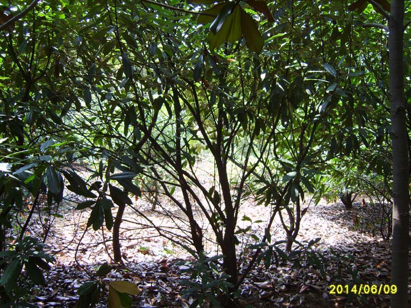 S8005987.JPG