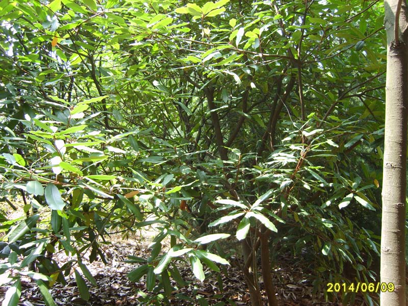 S8005988.JPG