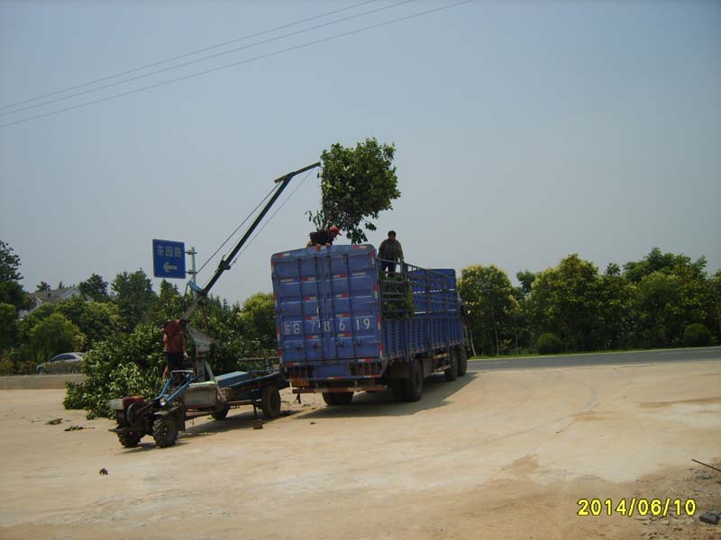 S8006014.JPG