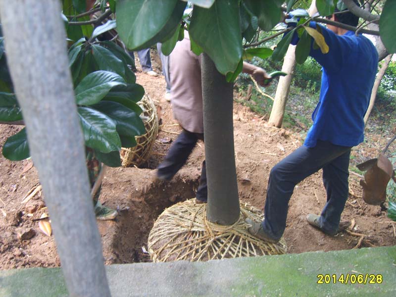 S8006028.JPG
