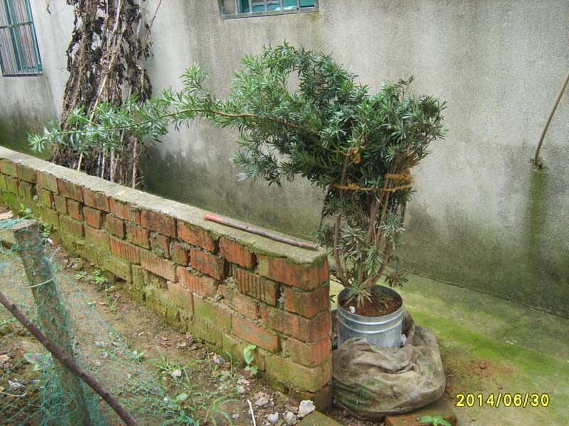 S8006041.JPG