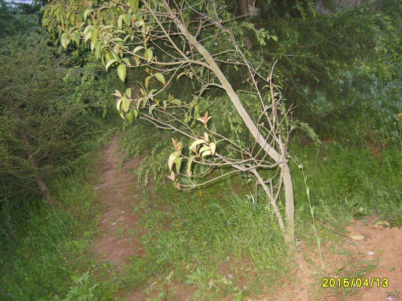 S8006728.JPG