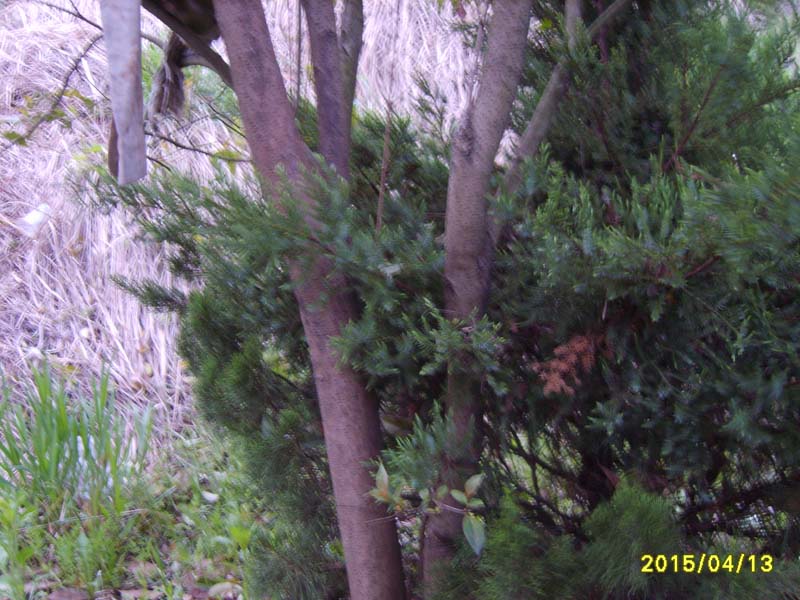 S8006732.JPG